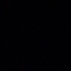 Meet your Posher, Celeste